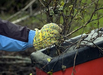 Выбор садового измельчителя
