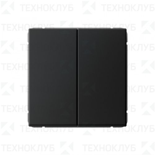 Выключатель Systeme ArtGallery 2-кл. карбон